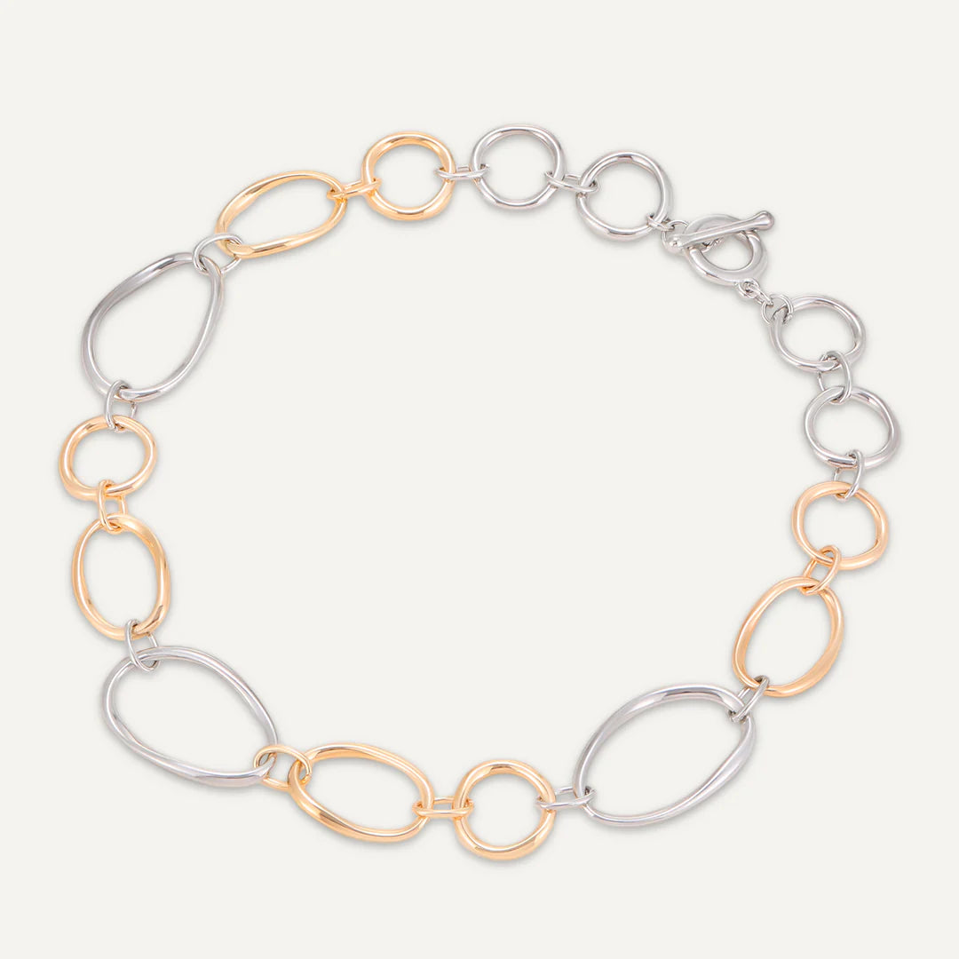 Gold & Silver Tone Clasp Necklace